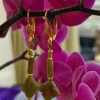 Groene jade hangers